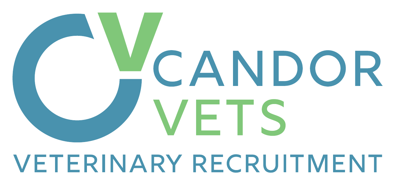 Candor Vets Veterinary Recruitment
